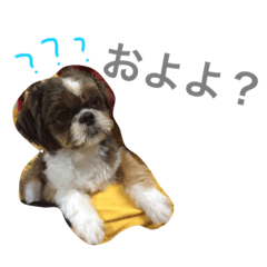 [LINEスタンプ] いぬのJOYくん