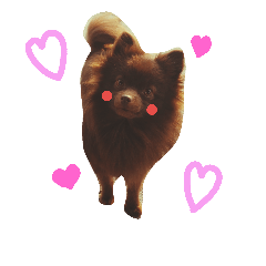 [LINEスタンプ] チョコポメLULU