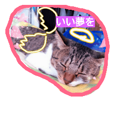 [LINEスタンプ] cat  lovey