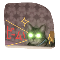 [LINEスタンプ] とらまめ屋