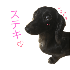 [LINEスタンプ] 毎日はなさん2