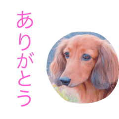 [LINEスタンプ] ハッピイー