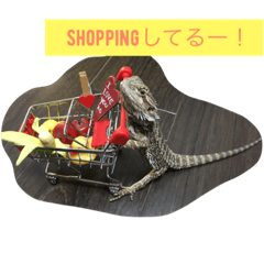 [LINEスタンプ] フトアゴ ビビちゃん