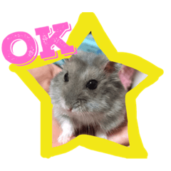 [LINEスタンプ] ハムスターのペットたち