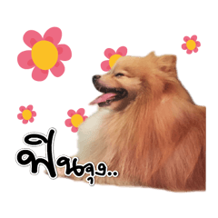 [LINEスタンプ] Pao-and-aura