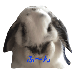 [LINEスタンプ] びーたんスタンプ