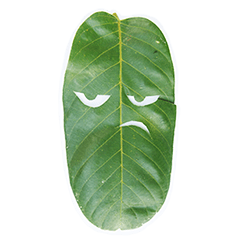 [LINEスタンプ] Feeling from the leaf