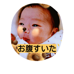 [LINEスタンプ] 新生児 たんぽぽちゃん