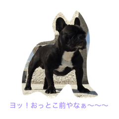 [LINEスタンプ] HOKU SUTA