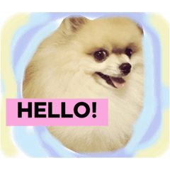 [LINEスタンプ] はぴたんたん