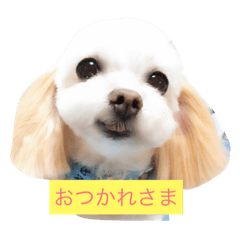 [LINEスタンプ] バニラ  くん