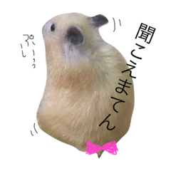 [LINEスタンプ] マッシュポテト