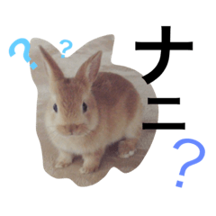 [LINEスタンプ] ぷりてぃーラビット。