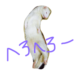 [LINEスタンプ] albino ferret Stamp