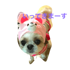 [LINEスタンプ] のんびりしたシーズーです。
