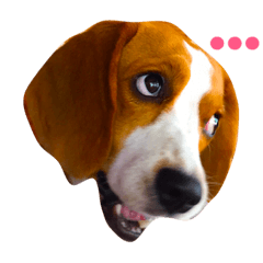 [LINEスタンプ] Begle11