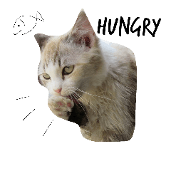 [LINEスタンプ] Cats mood