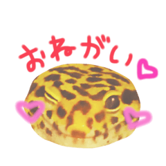 [LINEスタンプ] 小さな住人たち 3