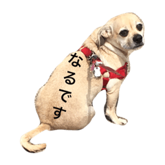 [LINEスタンプ] パグックスのナル