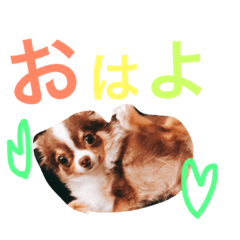 [LINEスタンプ] だいてんしここたん