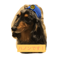 [LINEスタンプ] ハノンの日常1