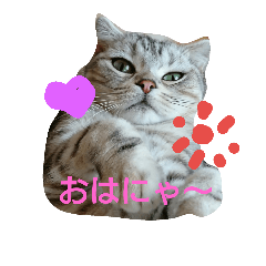 [LINEスタンプ] らん子0211