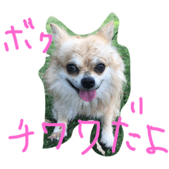 [LINEスタンプ] corocorodog