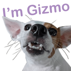 [LINEスタンプ] Gizmo the Ugly Jack set 1