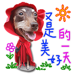 [LINEスタンプ] Little P Dog-2の画像（メイン）