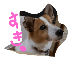 [LINEスタンプ] マイロとオーティス