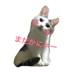[LINEスタンプ] ぼんぽよむぎまる