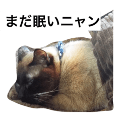 [LINEスタンプ] ペット集