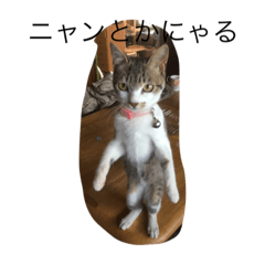 [LINEスタンプ] まやー語