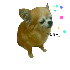 [LINEスタンプ] こんにチワ！ワ！