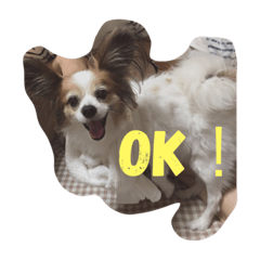 [LINEスタンプ] きまぐれマル