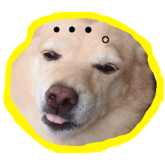 [LINEスタンプ] たいはなかい