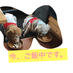 [LINEスタンプ] ちゅらはな