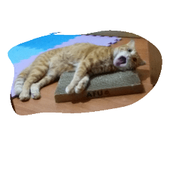 [LINEスタンプ] Yokan life diary