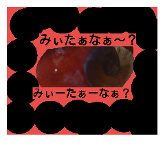 [LINEスタンプ] na-----