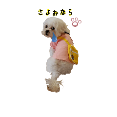 [LINEスタンプ] 福乙女
