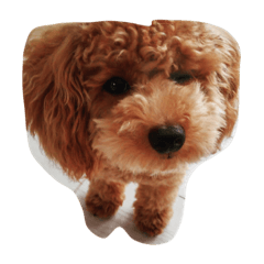[LINEスタンプ] バンビとゆかいな仲間たち