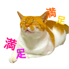 [LINEスタンプ] クウの気持ち
