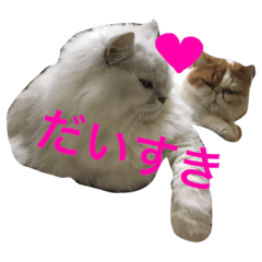 [LINEスタンプ] コジパン