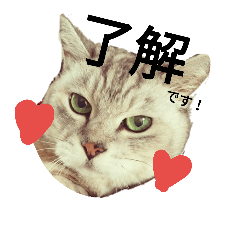 [LINEスタンプ] まるとえむ