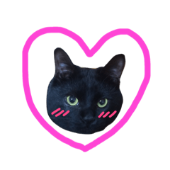 [LINEスタンプ] 黒猫のひじき
