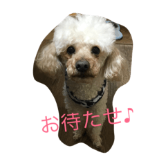 [LINEスタンプ] まーち