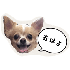 [LINEスタンプ] 未来ちゃん