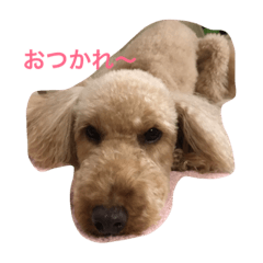 [LINEスタンプ] kunai tetsubishi 01