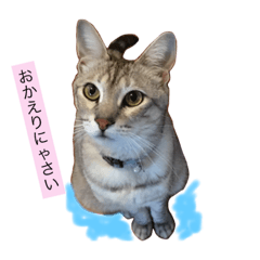 [LINEスタンプ] リリティのつぶやき