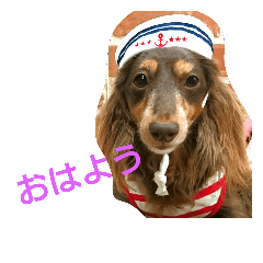 [LINEスタンプ] コアとツヨシ